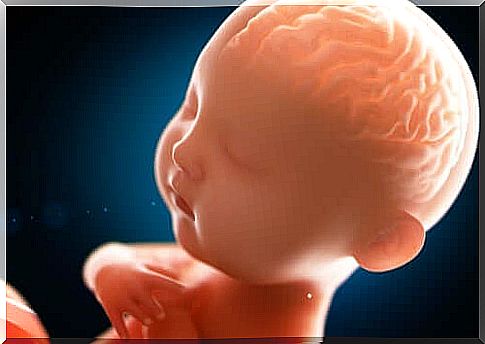 A baby's brain - what's it like in there?