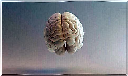 The front of a brain