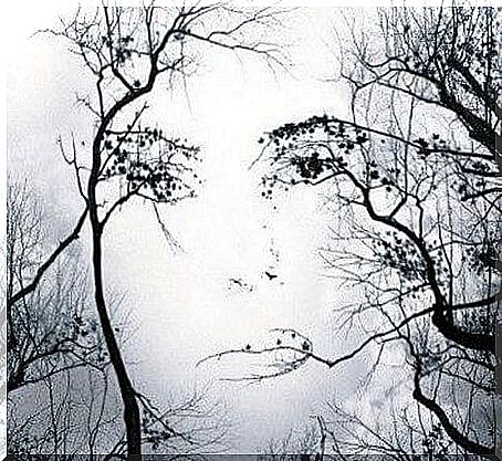 Face in Trees