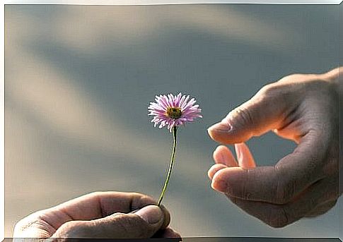 Man gives flower to another