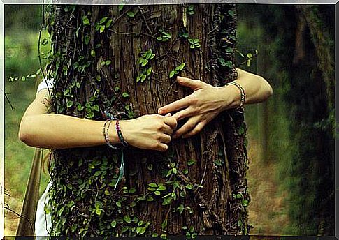 Hugging trees as part of green therapy