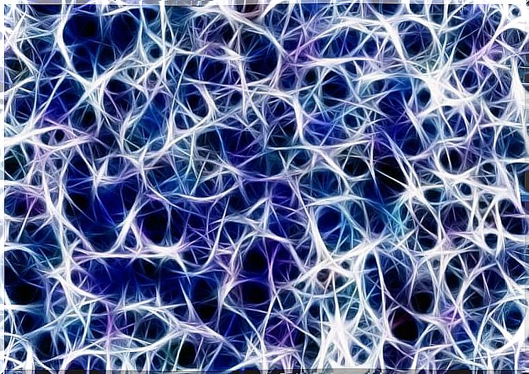 neurons