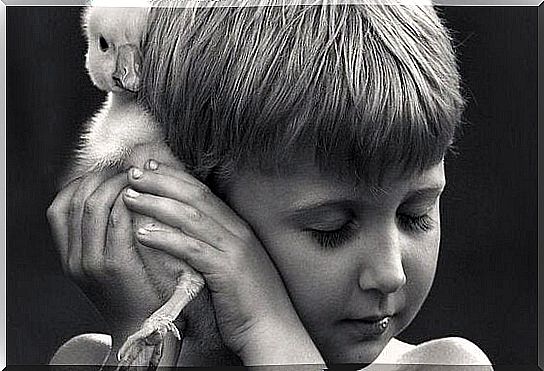 Boy with a little bird