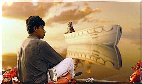 Scene from the movie life of pi