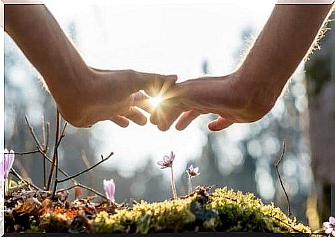 Two hands touching over moss and wildflowers